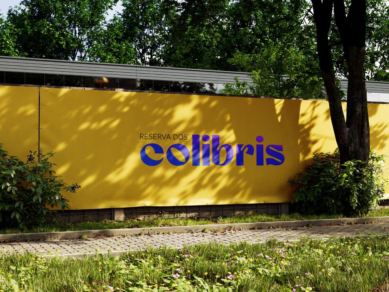 Colibris Comunicação 2