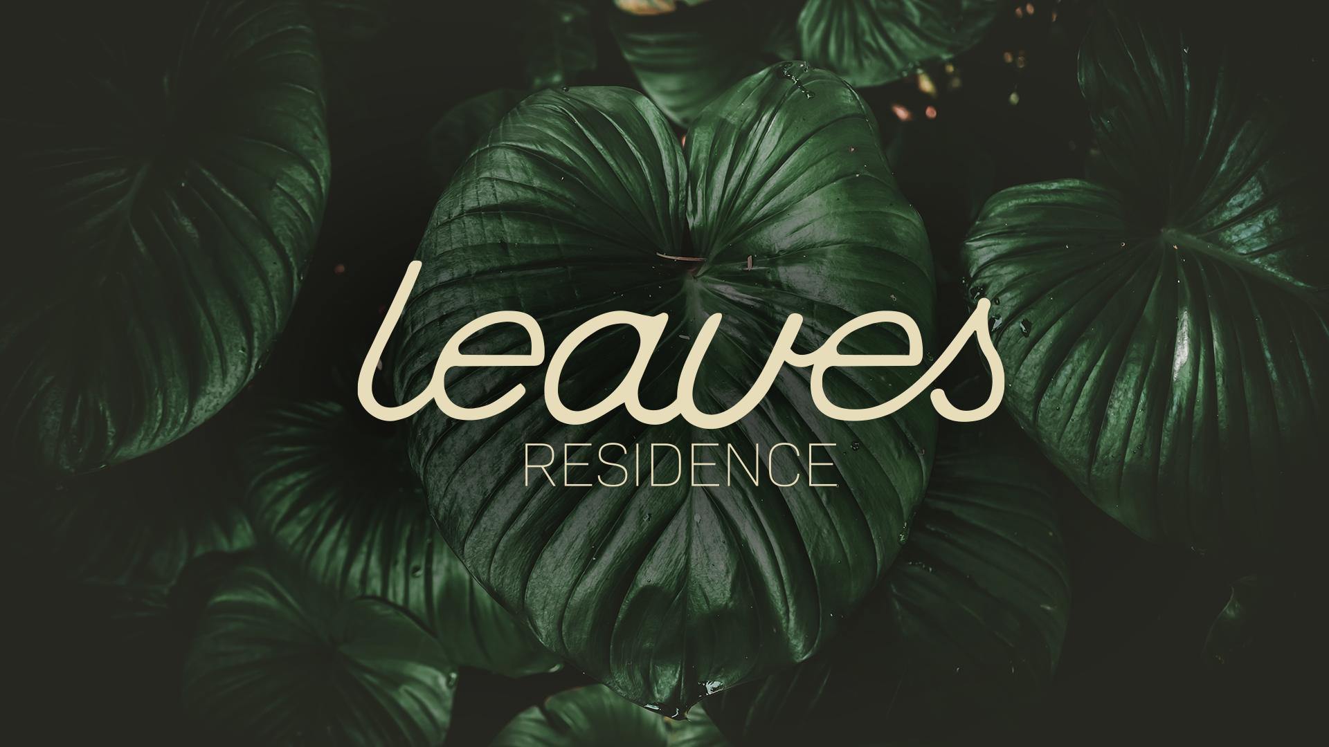 Leaves Residence